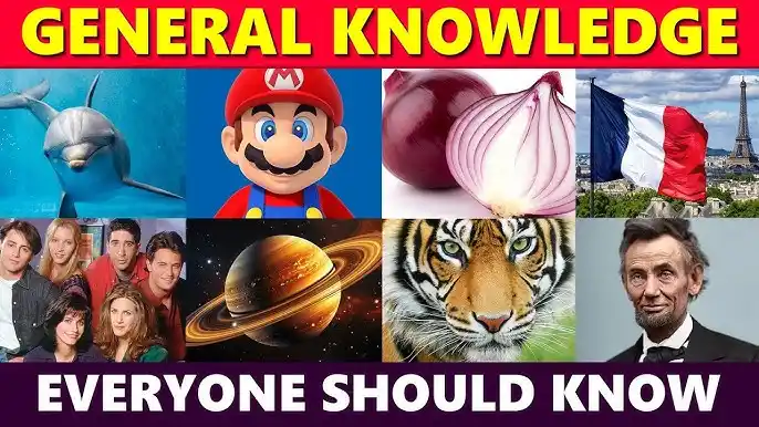 General Knowledge Questions