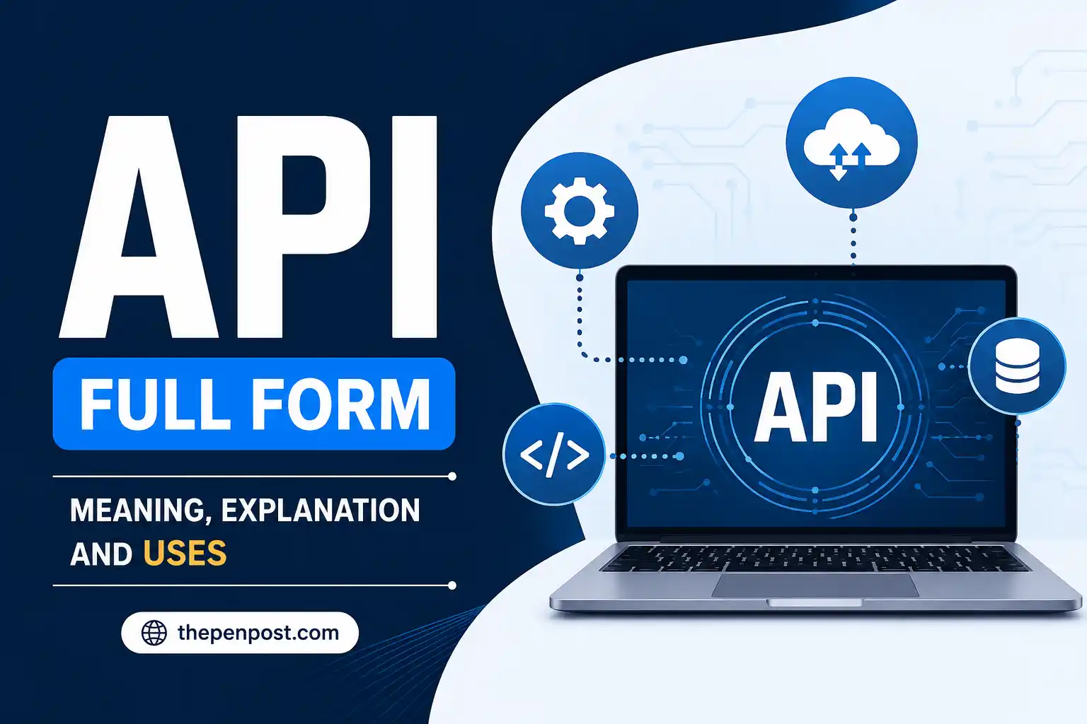 api full form