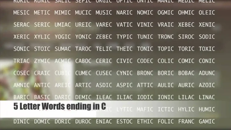 5 letter words that end with c