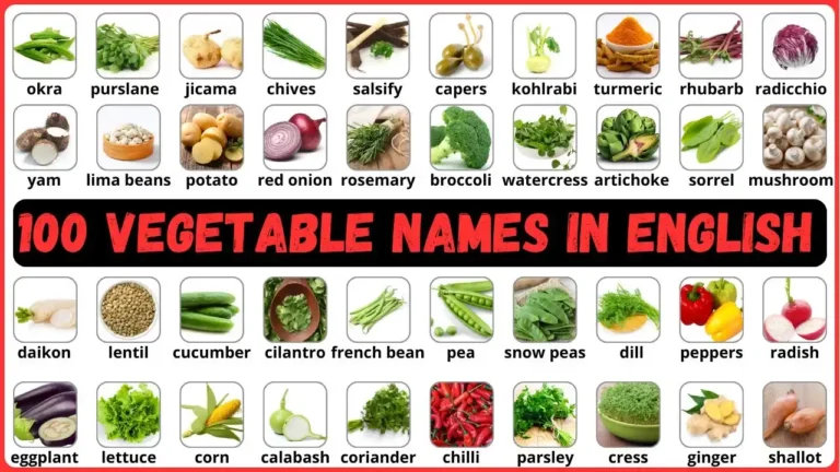 100 Vegetables Name