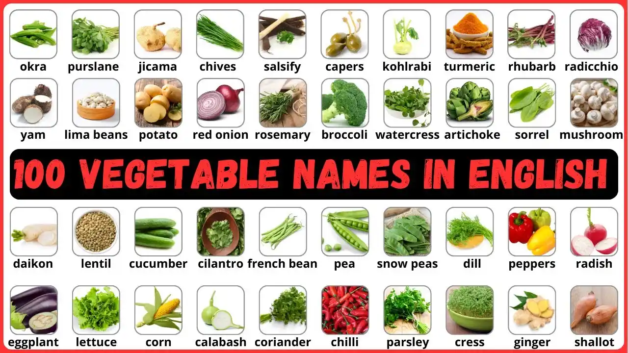 100 Vegetables Name