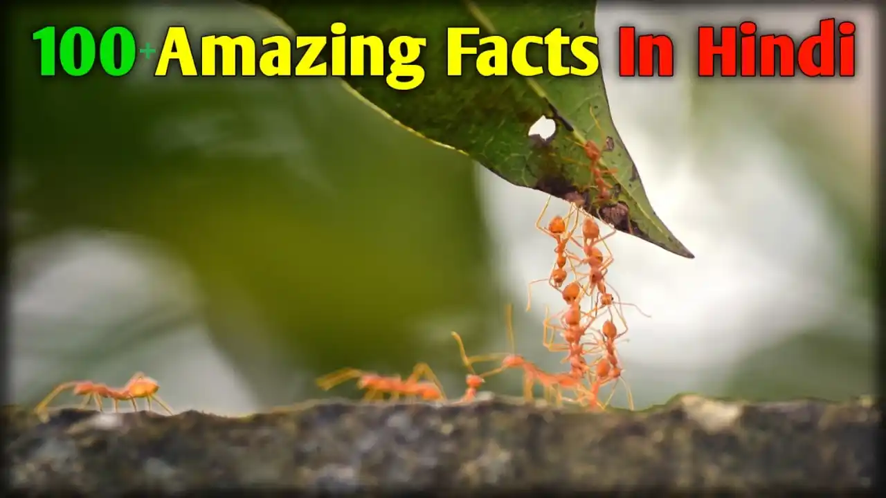 1000 Amazing Facts In Hindi