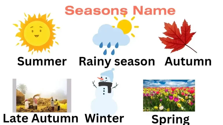 6 Season Name In English