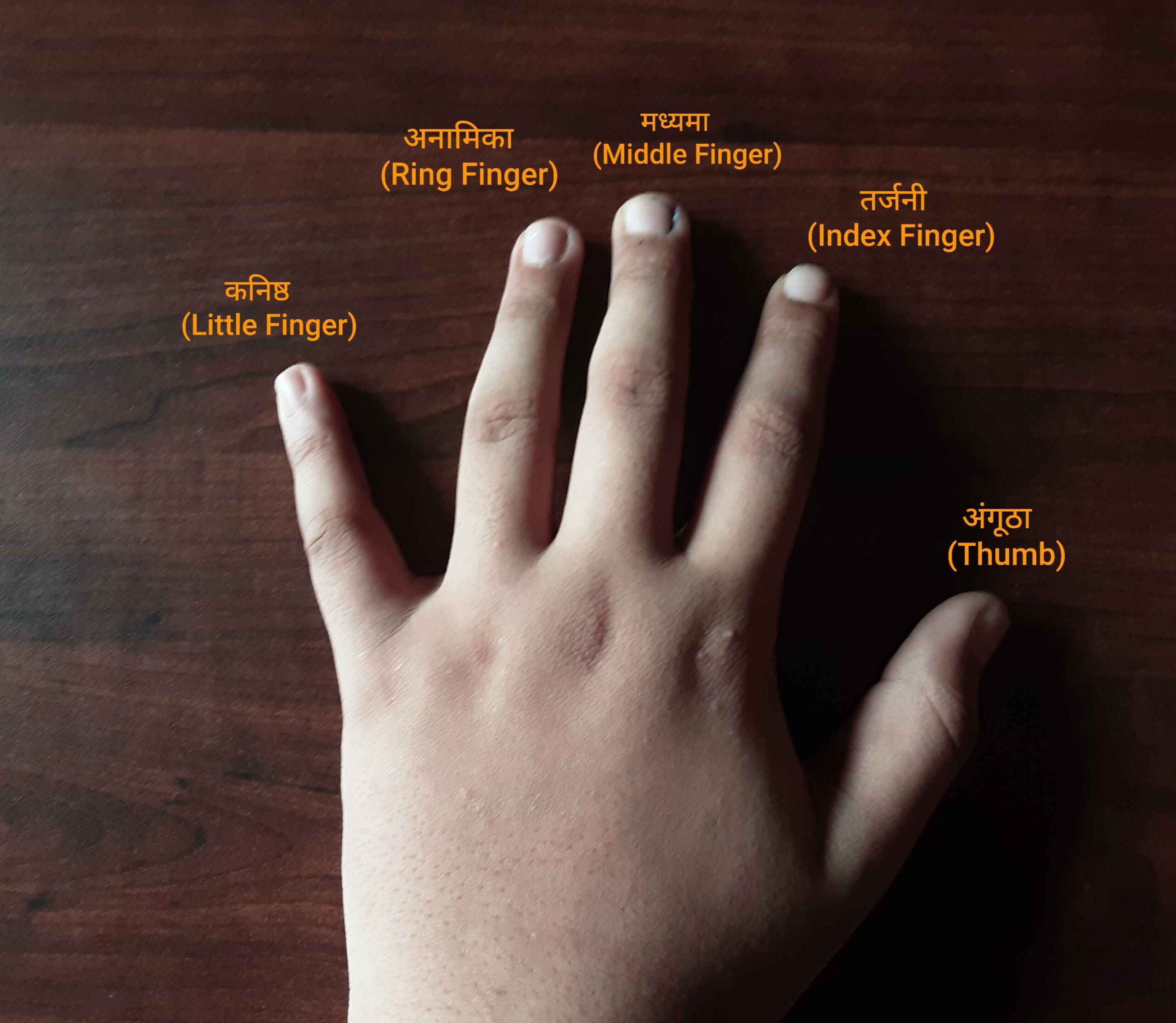 Fingers Name