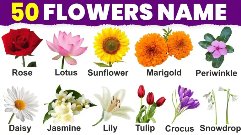 Flowers Name