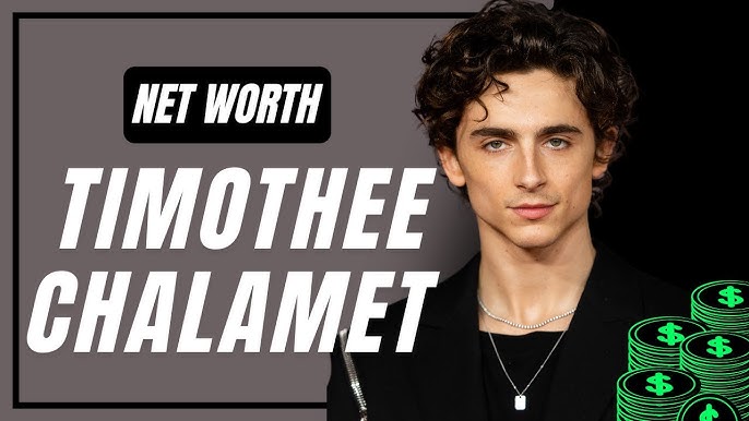 Timothee Chalamet Net Worth